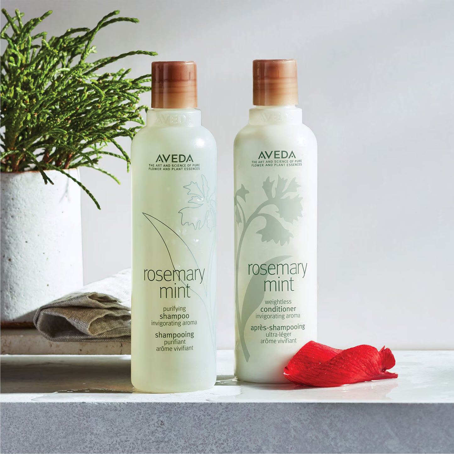 AVEDA rosemary mint - Shampoo purificante