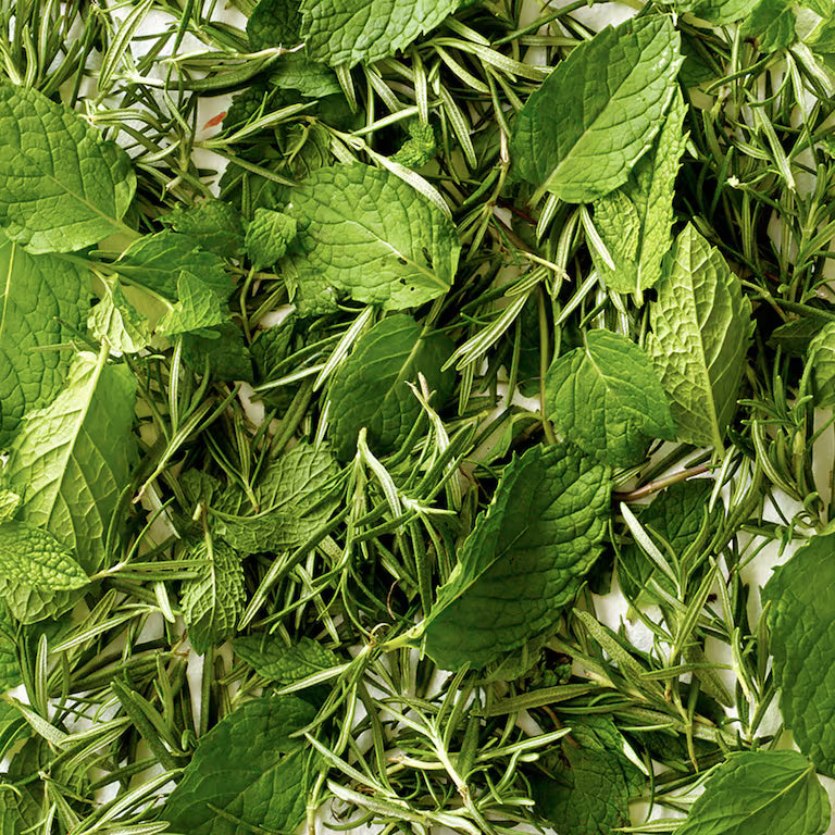 AVEDA rosemary mint - Shampoo purificante