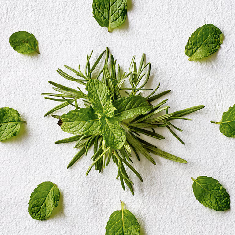 AVEDA rosemary mint - Shampoo purificante