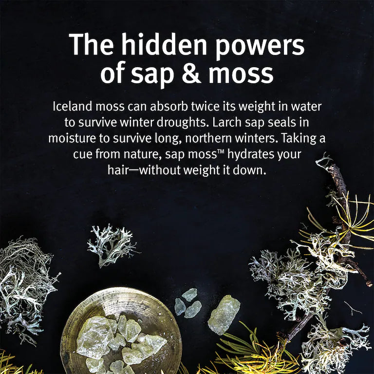 AVEDA sap moss - Shampoo idratazione leggera