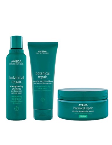 Aveda Botanical Repair Limited Edition Set- shampoo - mask- conditioner