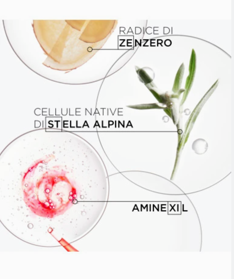 Genesis dėfense thermique